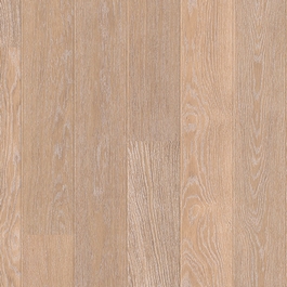 parquet perspective en tunisie